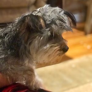 Meet your Posher, Julianna